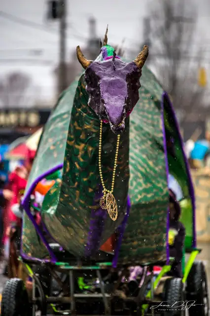 2019 Parade photo 12