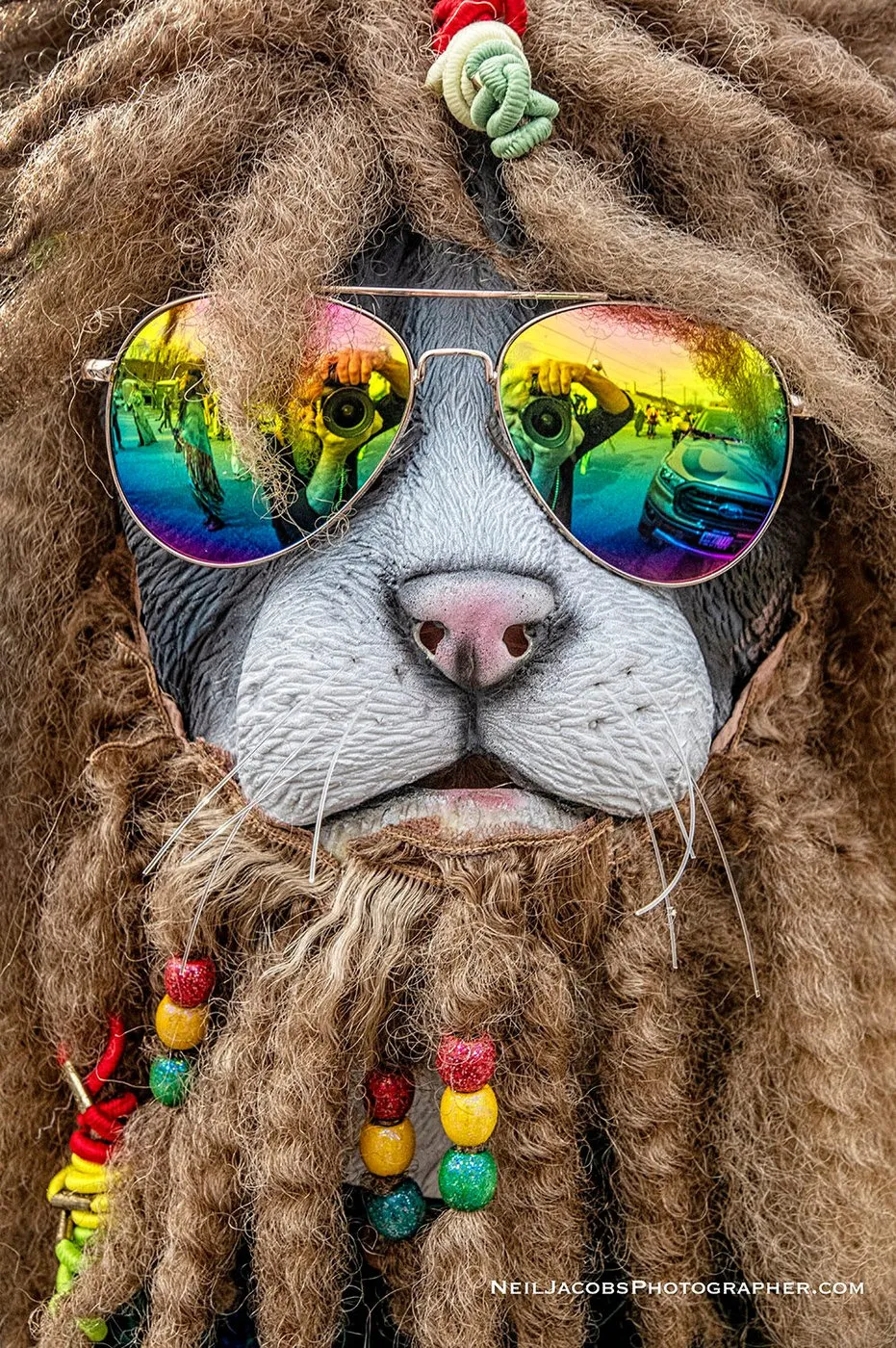 Asheville Mardi Gras parade photo