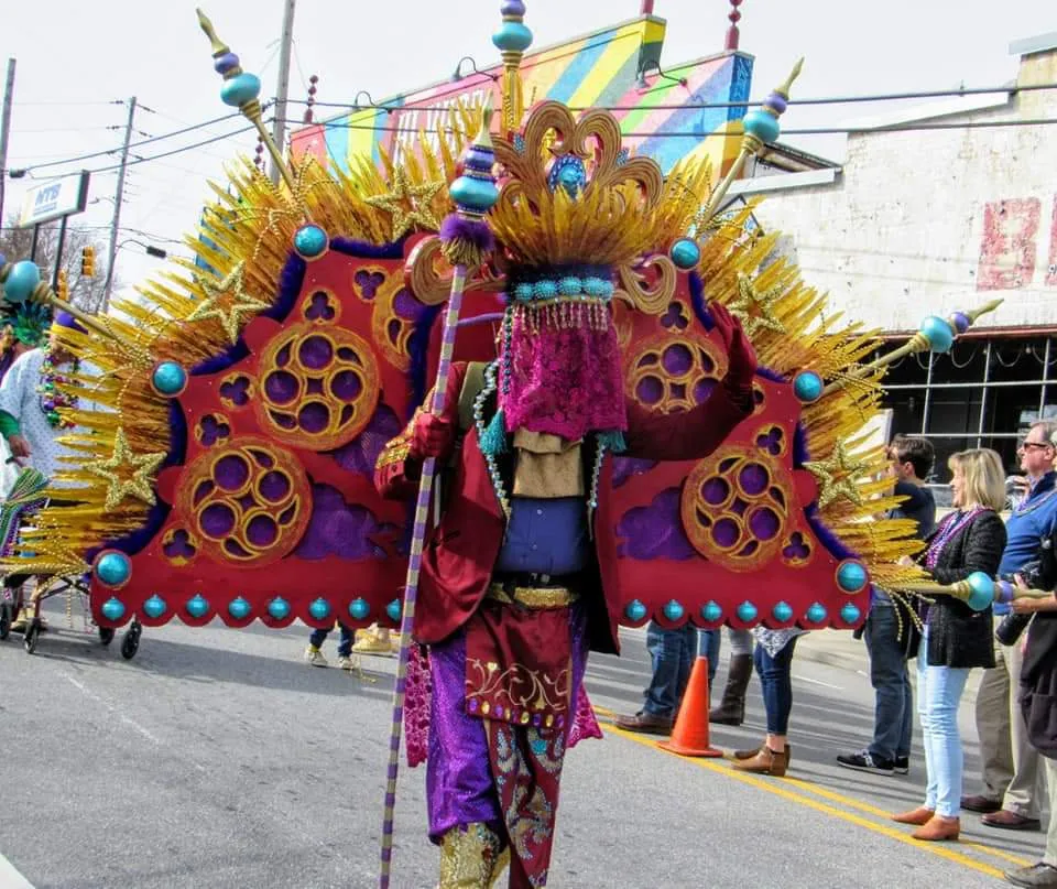 Asheville Mardi Gras parade photo